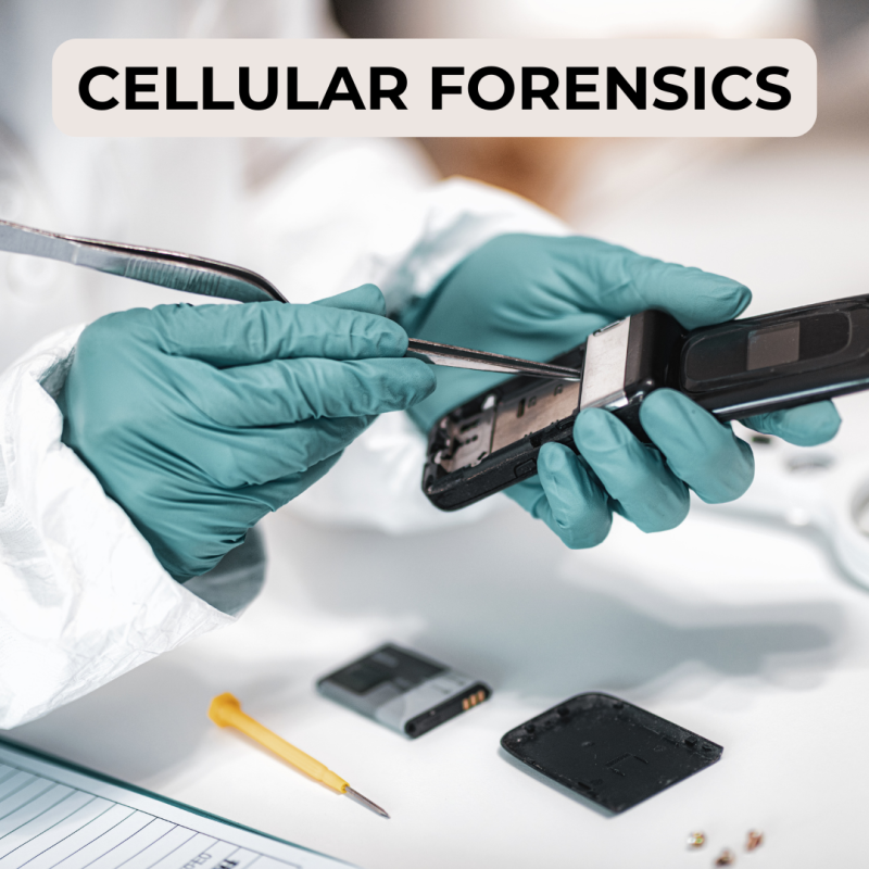 What are three main categories of mobile forensics?: tcgforensics — LiveJournal