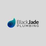 Best Plumbing Burleigh Heads Profile Picture