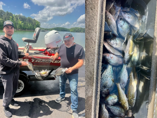 Lake Hartwell Fishing Report April 30th 2024 - Lake Hartwell Fishing Guides