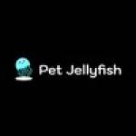 Pet Jellyfish Profile Picture