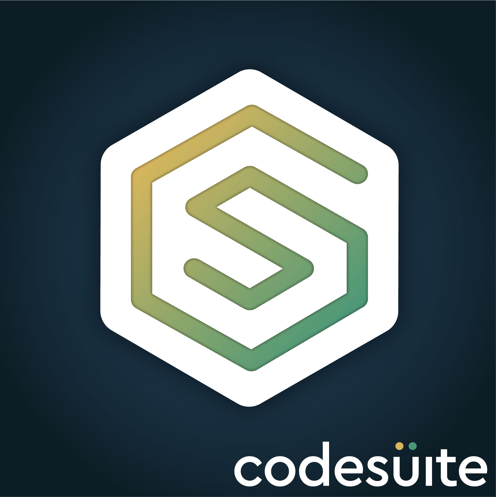 Customized E-learning Software Development Services | CodeSuite