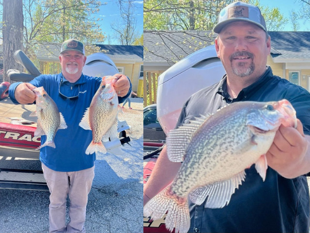 Lake Hartwell Crappie Fishing Report March 30th 2024 - Lake Hartwell Fishing Guides