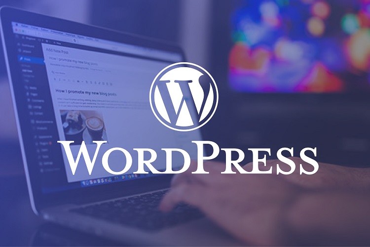 WordPress Course in Ahmedabad - Learn Website Development | ELDI