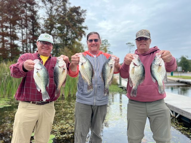 Lake Seminole Fishing Report by Captain Paul Tyre November 17, 2023 - Lake Seminole