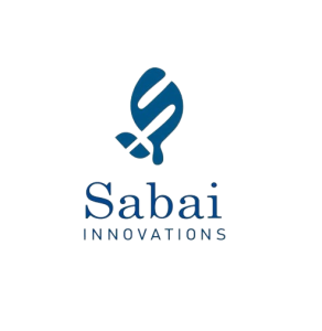 Best Digital Marketing Company Worldwide | Sabai Innovations