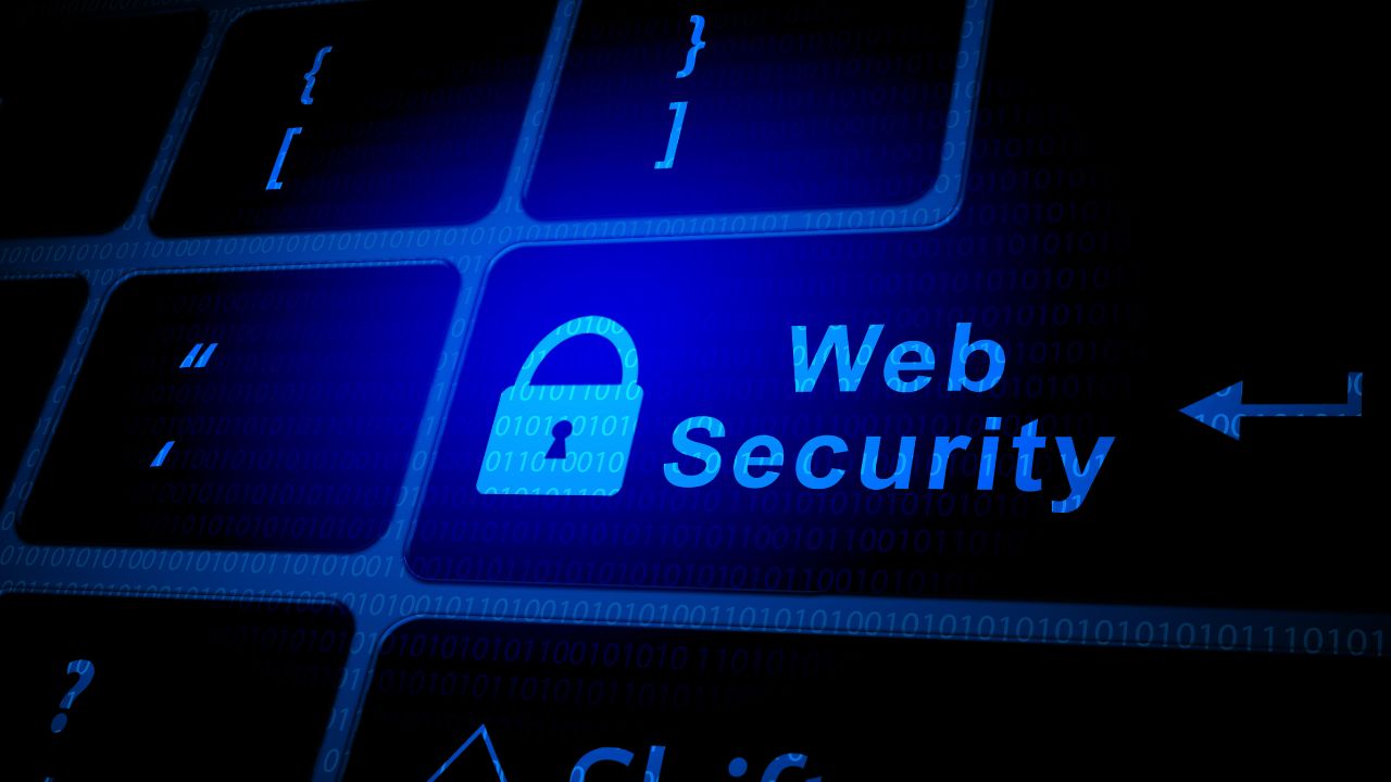 What does Web Application Security mean in 2024.