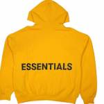 Essential Hoodie Profile Picture