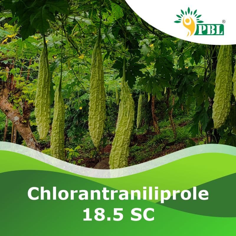 Chlorantraniliprole18.5 % SC W/W | Manufacturer & Exporter - Peptech