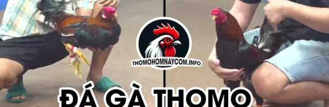 TRANG TRUC TIEP DA GA THOMO HOM NAY CO BINH LUAN Cover Image