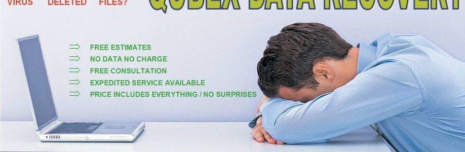 Qubex Data Recovery Cover Image