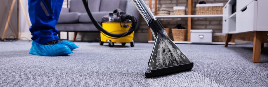 Sydney Choice Cleaning Cover Image