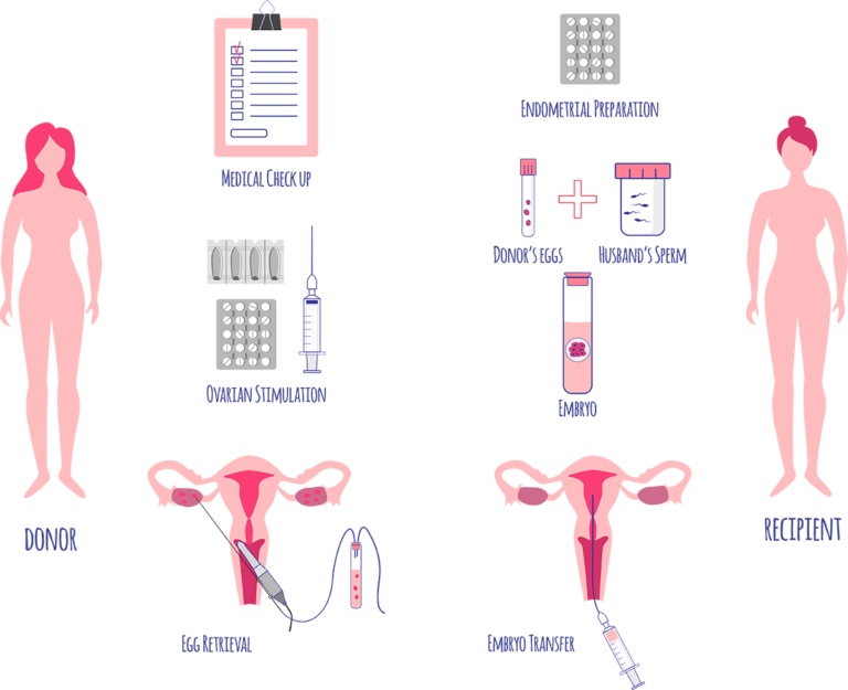 Premier Egg Donation Services in Mumbai | Trusted Solutions for Parenthood | Jilla IVF Center