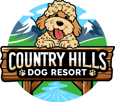 Services & Rates - Country Hills Dog Resort