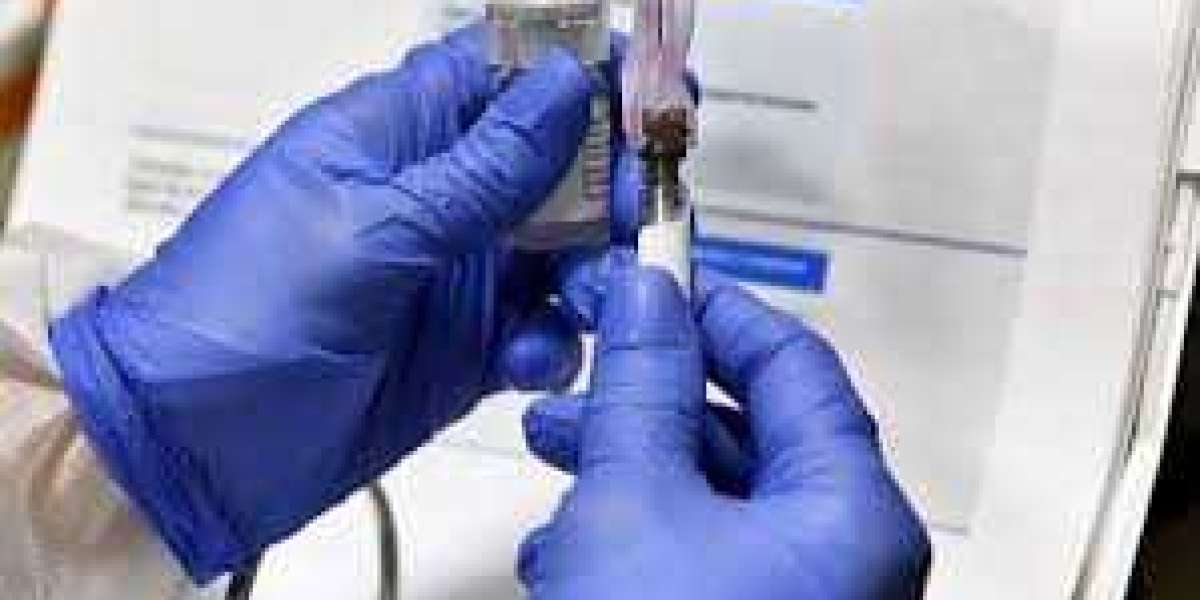 How are renal function panel tests conducted?
