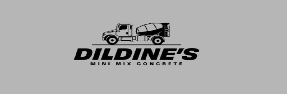 dildinesminimix Cover Image