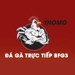 ĐÁ GÀ TRỰC TIẾP CAMPUCHIA GÀ THOMO HÔM NAY Profile Picture