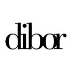 Dibor Homes Profile Picture