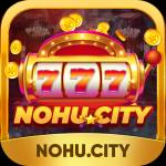 Nohu city Profile Picture