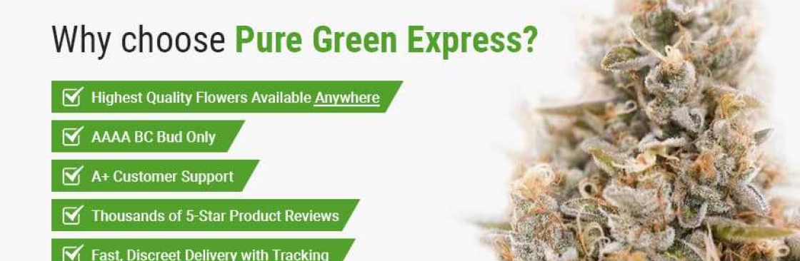 Pure Green Express Cover Image