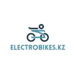 Electro Bikes Profile Picture