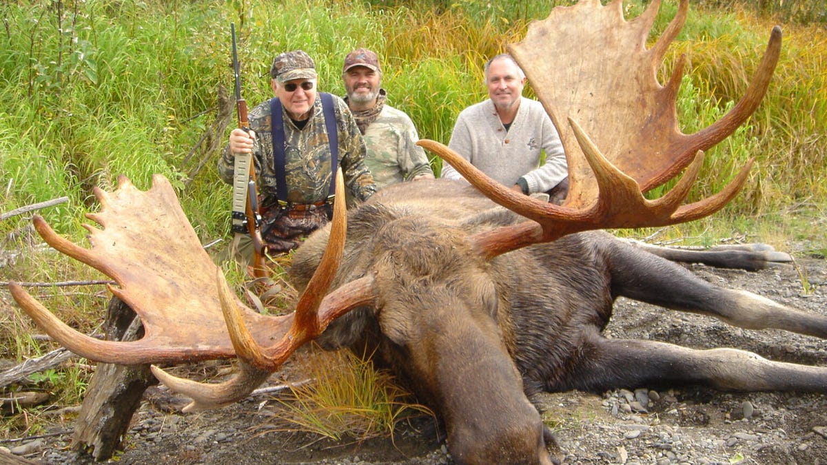 How to Choose the Perfect Moose Hunting Outfitter for Your Alaskan Adventure | by Alaskabush Adventures | Aug, 2024 | Medium