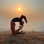 Himalayan Yoga Teacher Training Center Profile Picture