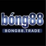 bong88trade Profile Picture