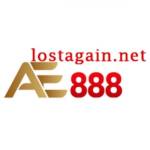 lostagainnet Profile Picture