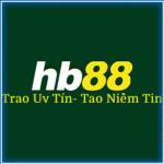 HB888 hb888vnpro Profile Picture