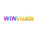 WINVN Profile Picture