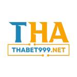 thabet999net11 Profile Picture