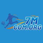 7m comorg Profile Picture