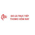 Đá Gà Trực Tiếp Thomo Hôm Nay Profile Picture