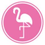 flamingobusmiami Profile Picture