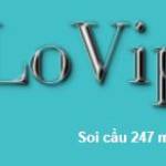 LoVip 24h Profile Picture