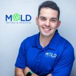 MOLD INSPECTION AND MOLD TESTING DALLAS TX Profile Picture