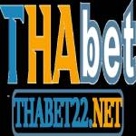 Thabet 22net Profile Picture