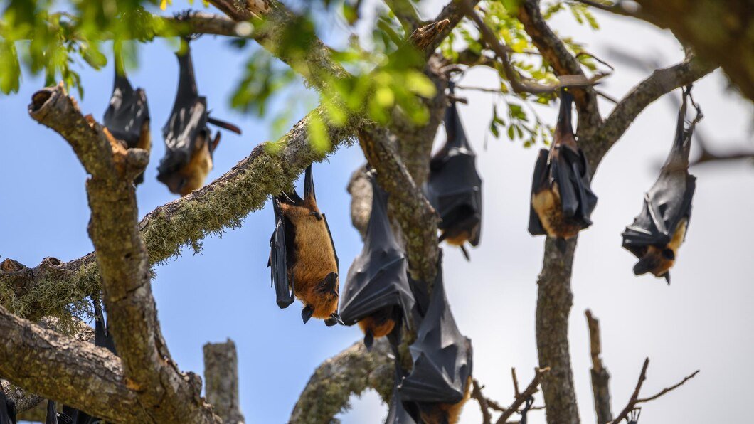 Bat Removal 101: How to Keep Your Home Bat-Free - MethStreams