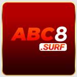 abc8surf Profile Picture