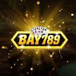 BAY789 Profile Picture