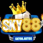 Sky88autos Profile Picture