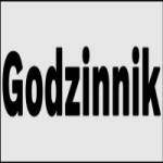 God zinnik Profile Picture