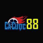 Cacuoc 88 Profile Picture