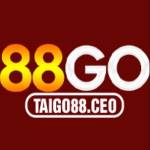 taigo88ceo Profile Picture