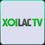 XoiLac TV Trang Bình Luận Trực tiếp Bóng Đ Profile Picture