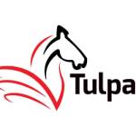 Tulpar Global Taxation Profile Picture