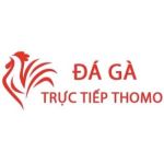 Đá Gà Trực Tiếp Thomo Hôm Nay Profile Picture