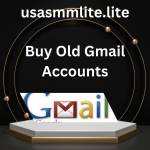 Buy Old Gmail Accounts Profile Picture