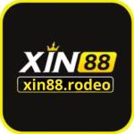 xin88 rodeo Profile Picture