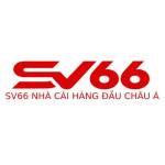 sv66 Chính Thức sv66 Casino Profile Picture